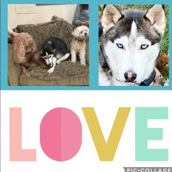 Meet your Posher, Jocelyn - Picture 4 of 5